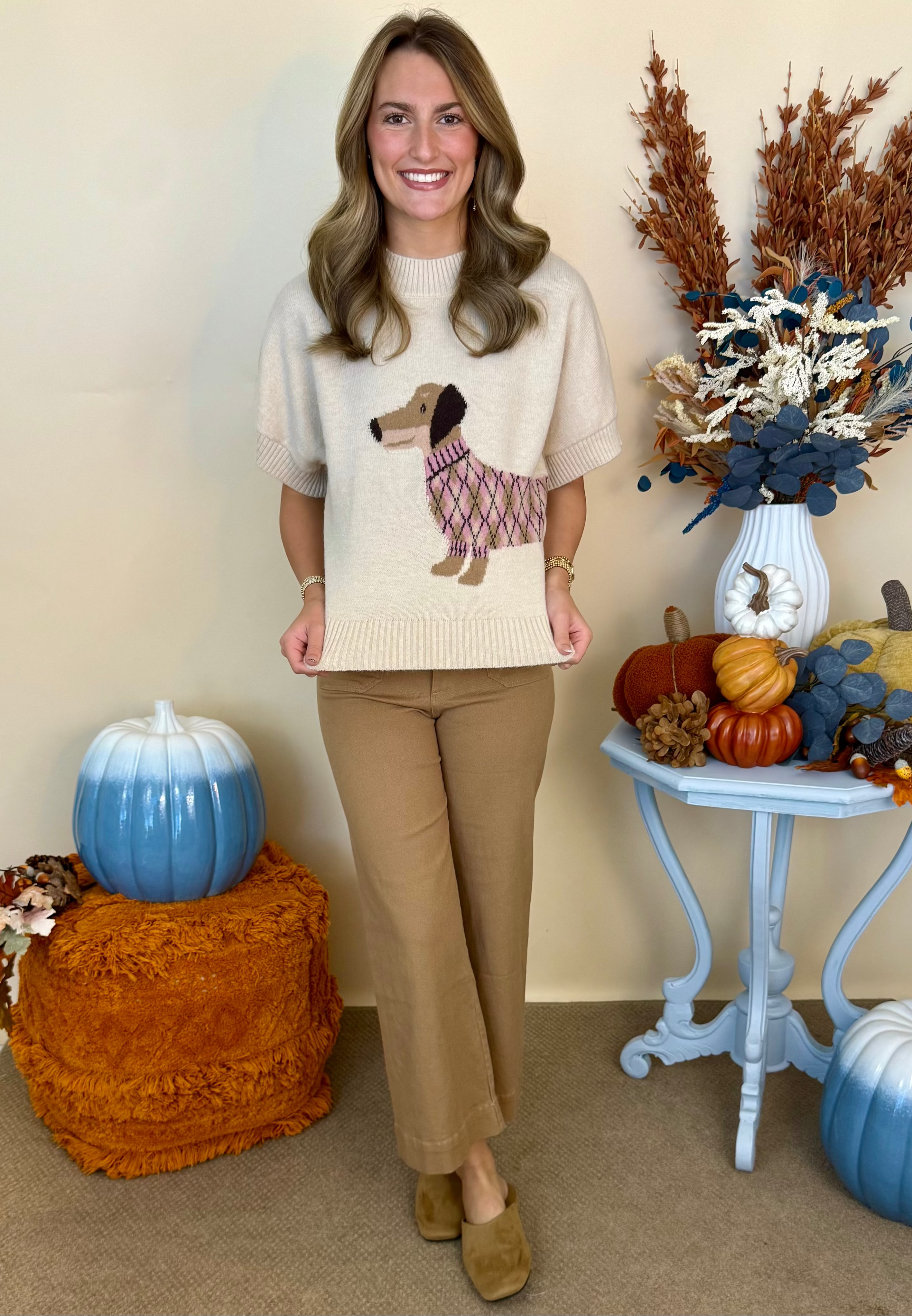 More to Love Oatmeal Dachshund Short Sleeve Knit Sweater-Shop-Womens-Boutique-Clothing