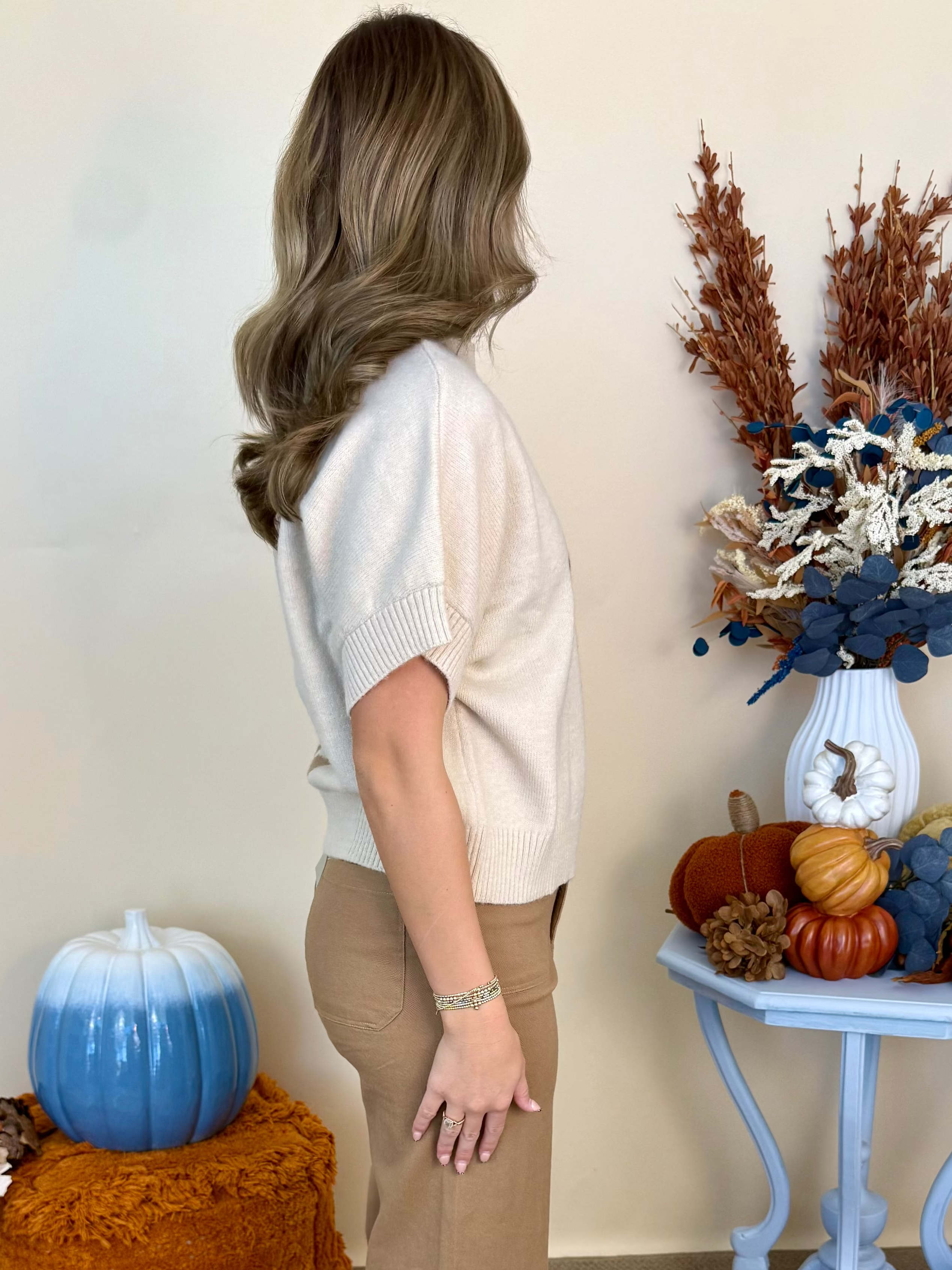 More to Love Oatmeal Dachshund Short Sleeve Knit Sweater-Shop-Womens-Boutique-Clothing