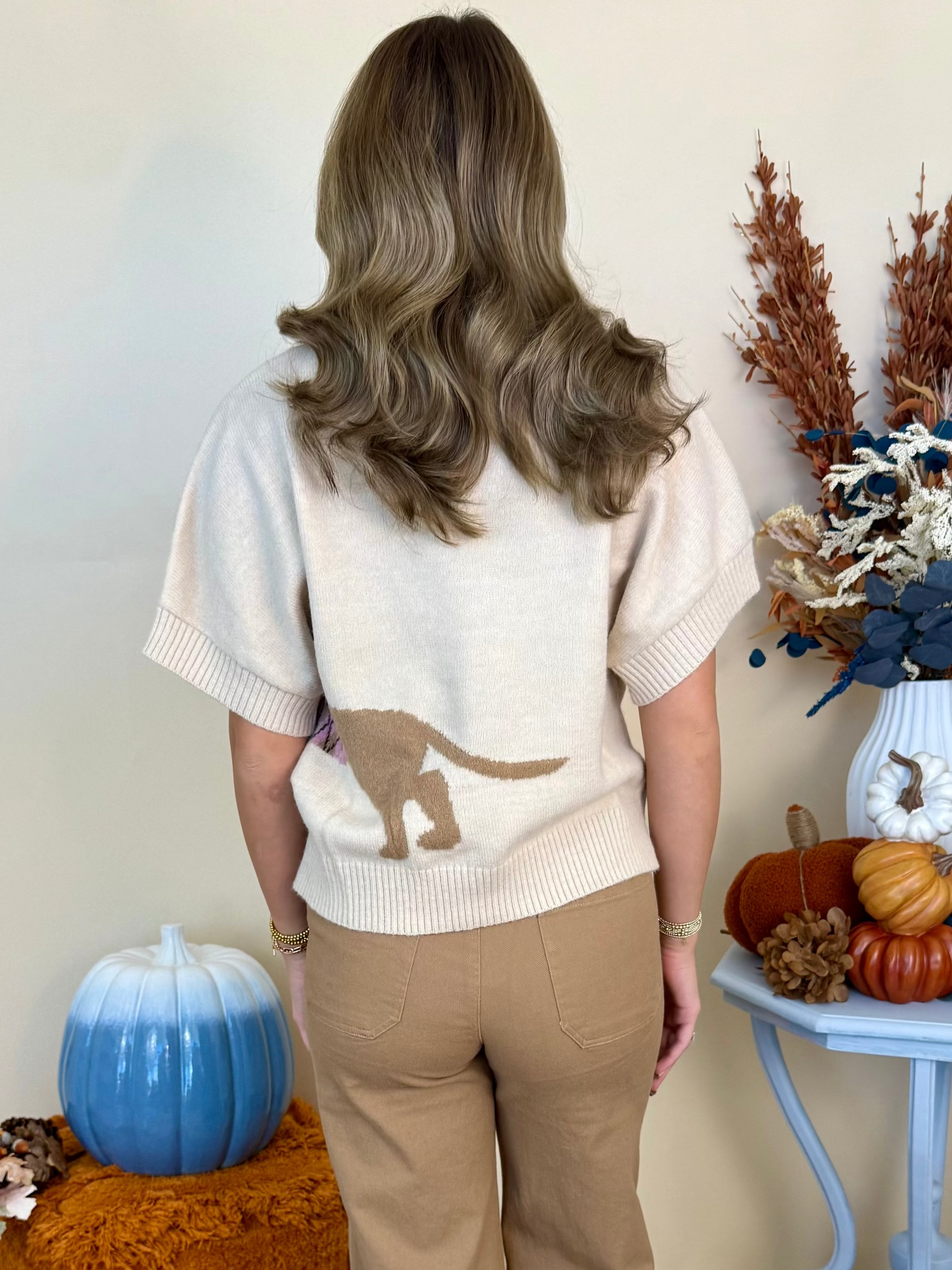 More to Love Oatmeal Dachshund Short Sleeve Knit Sweater-Shop-Womens-Boutique-Clothing
