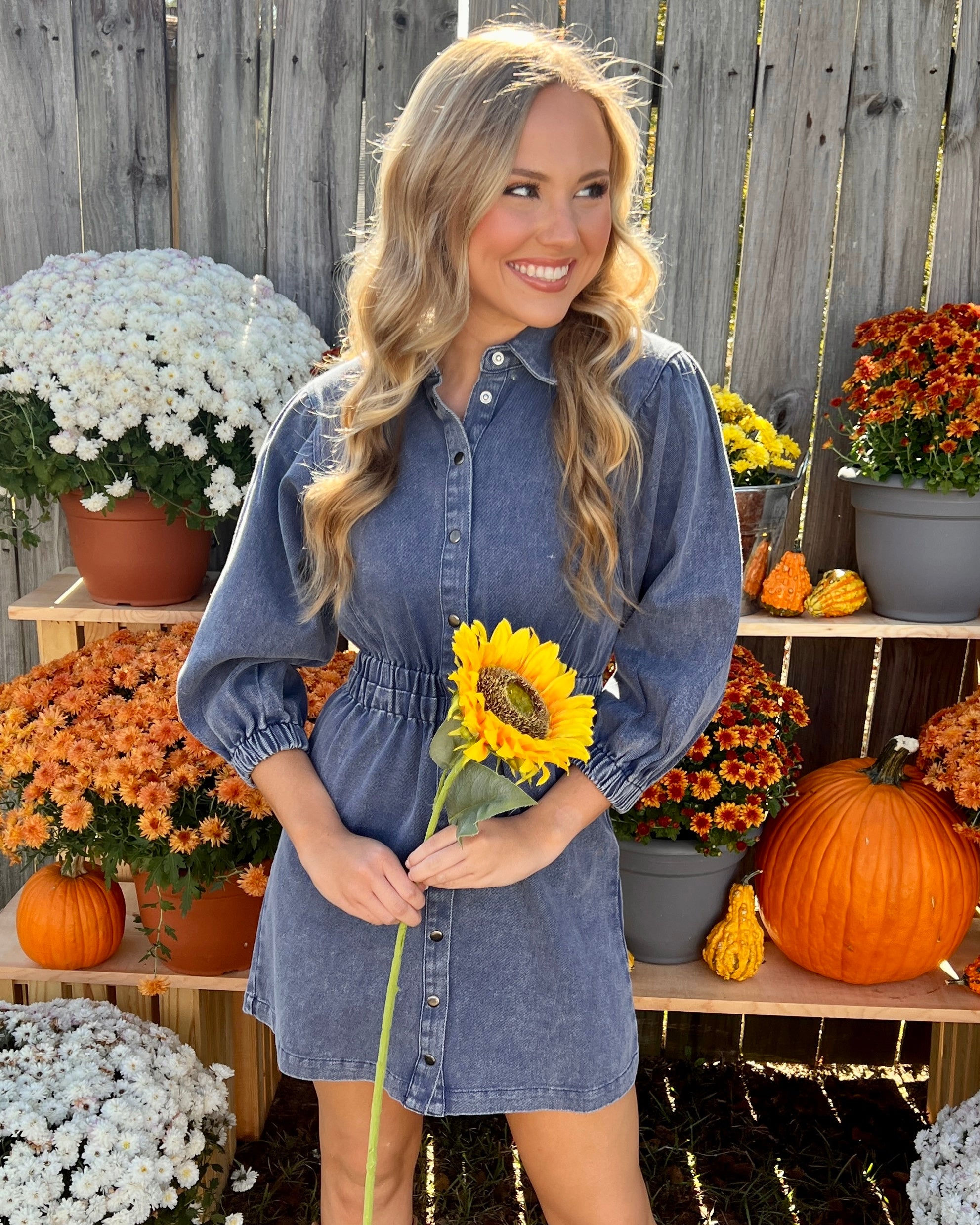 Sweet Truth Denim Blue Button Collared Dress-Shop-Womens-Boutique-Clothing