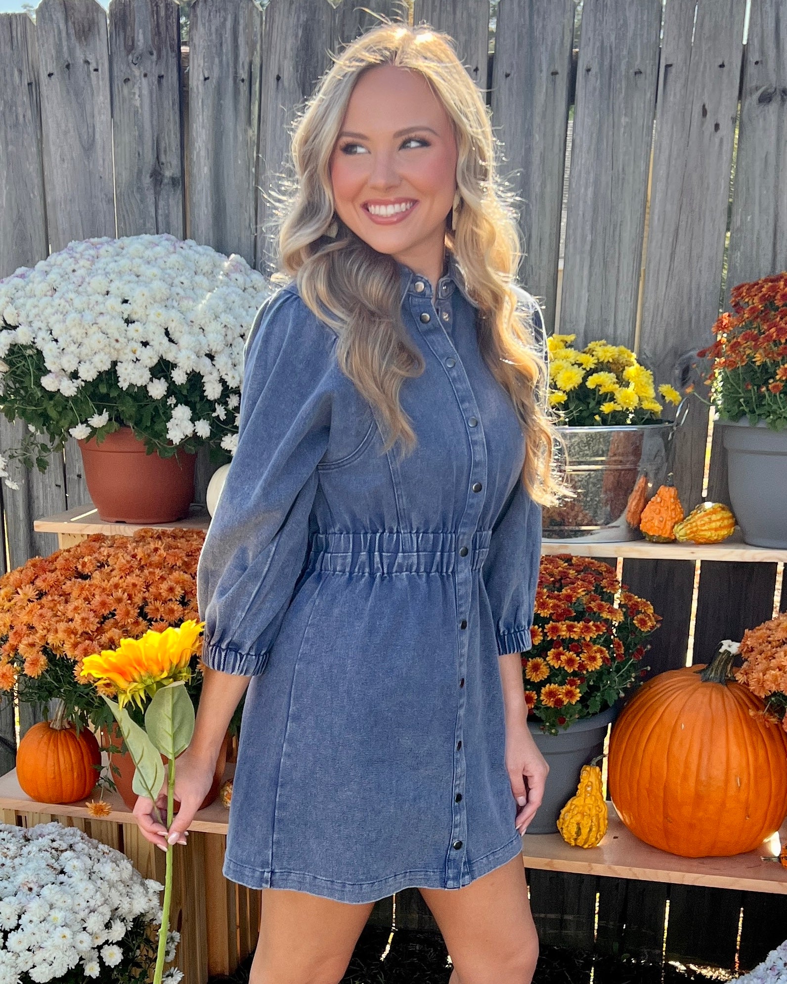 Sweet Truth Denim Blue Button Collared Dress-Shop-Womens-Boutique-Clothing