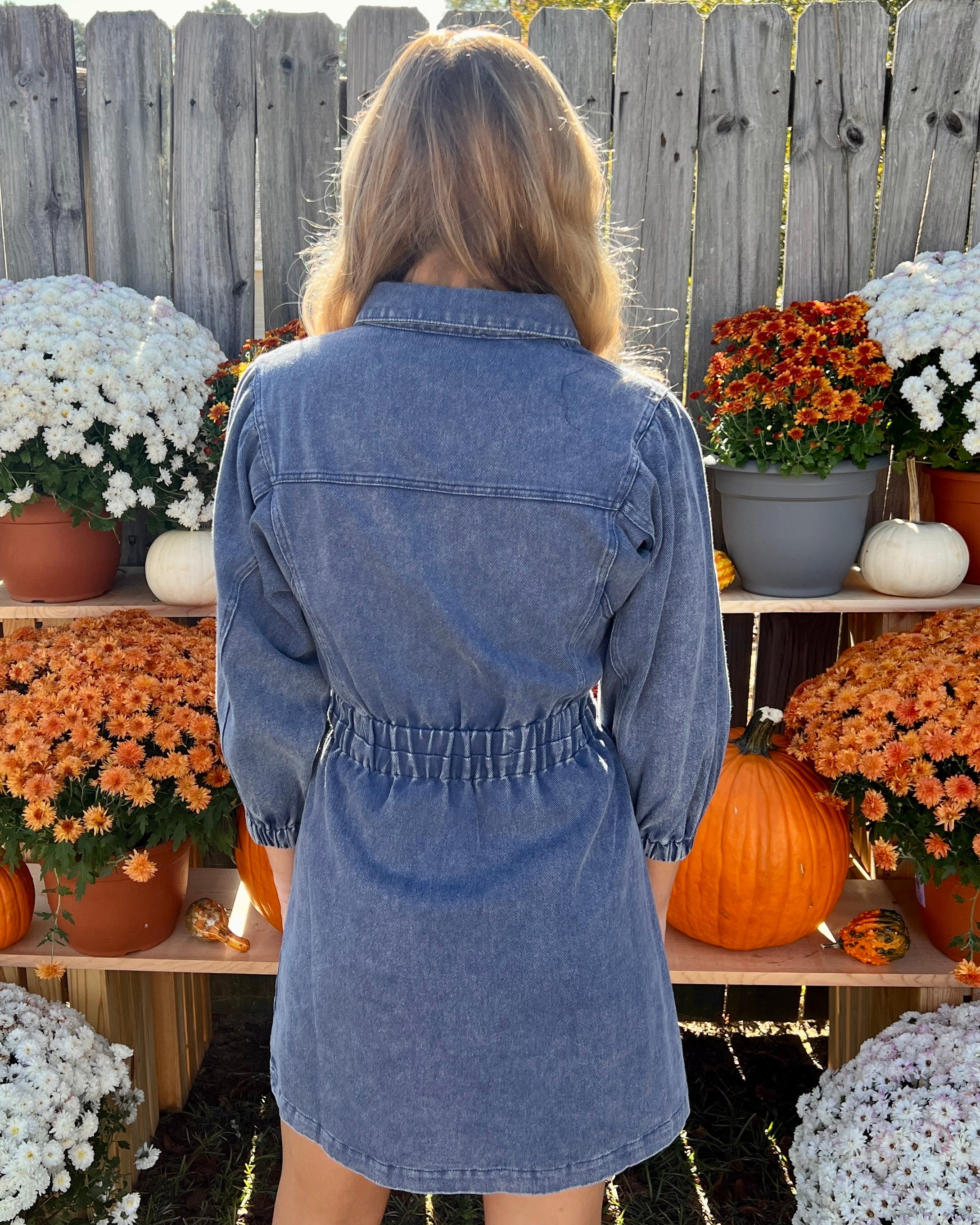 Sweet Truth Denim Blue Button Collared Dress-Shop-Womens-Boutique-Clothing
