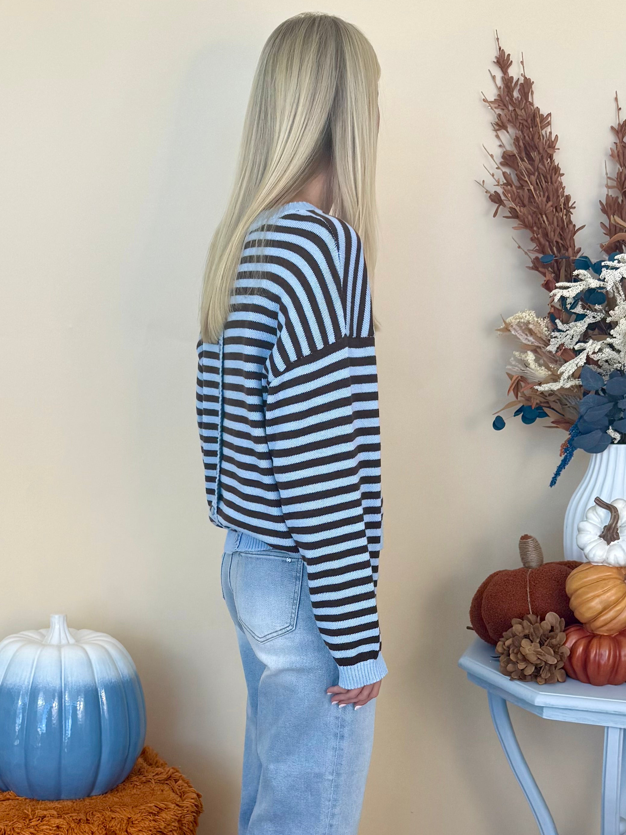 Stay Sweet Light Blue Striped Round Neck Sweater-Shop-Womens-Boutique-Clothing