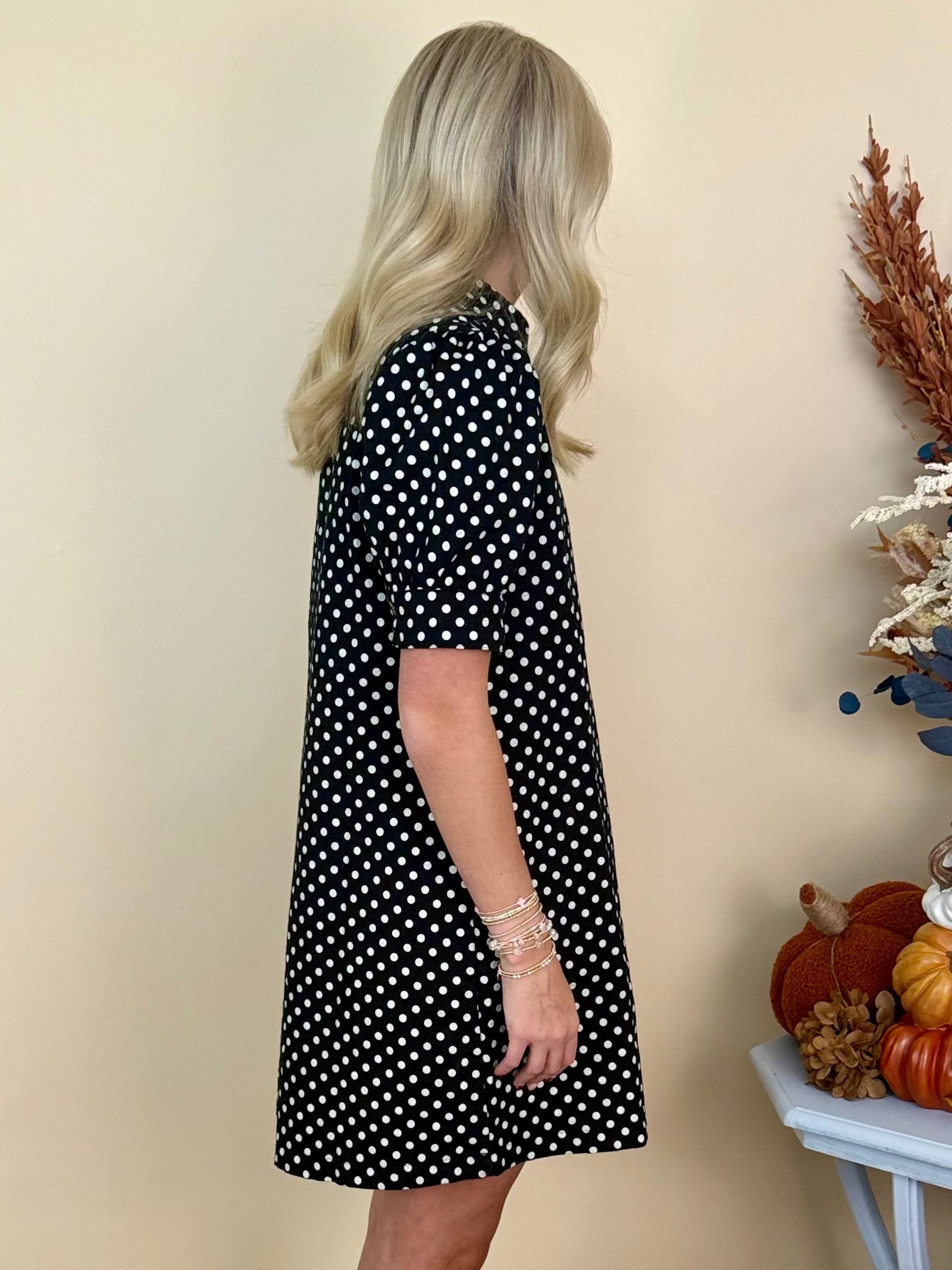 Cozy Company Black Polka Dot V-Neck Collared Shift Dress-Shop-Womens-Boutique-Clothing