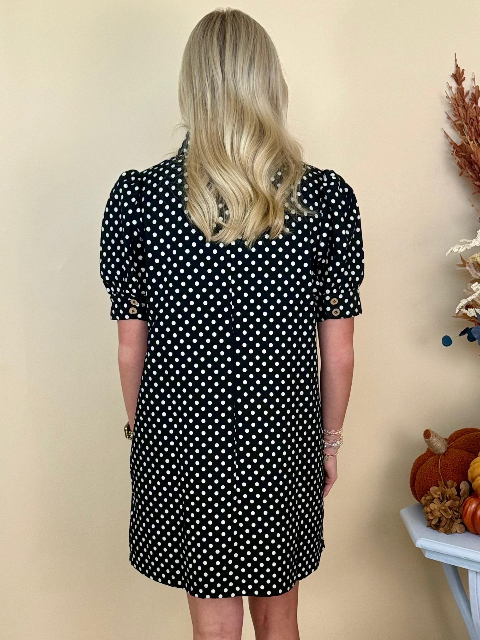 Cozy Company Black Polka Dot V-Neck Collared Shift Dress-Shop-Womens-Boutique-Clothing