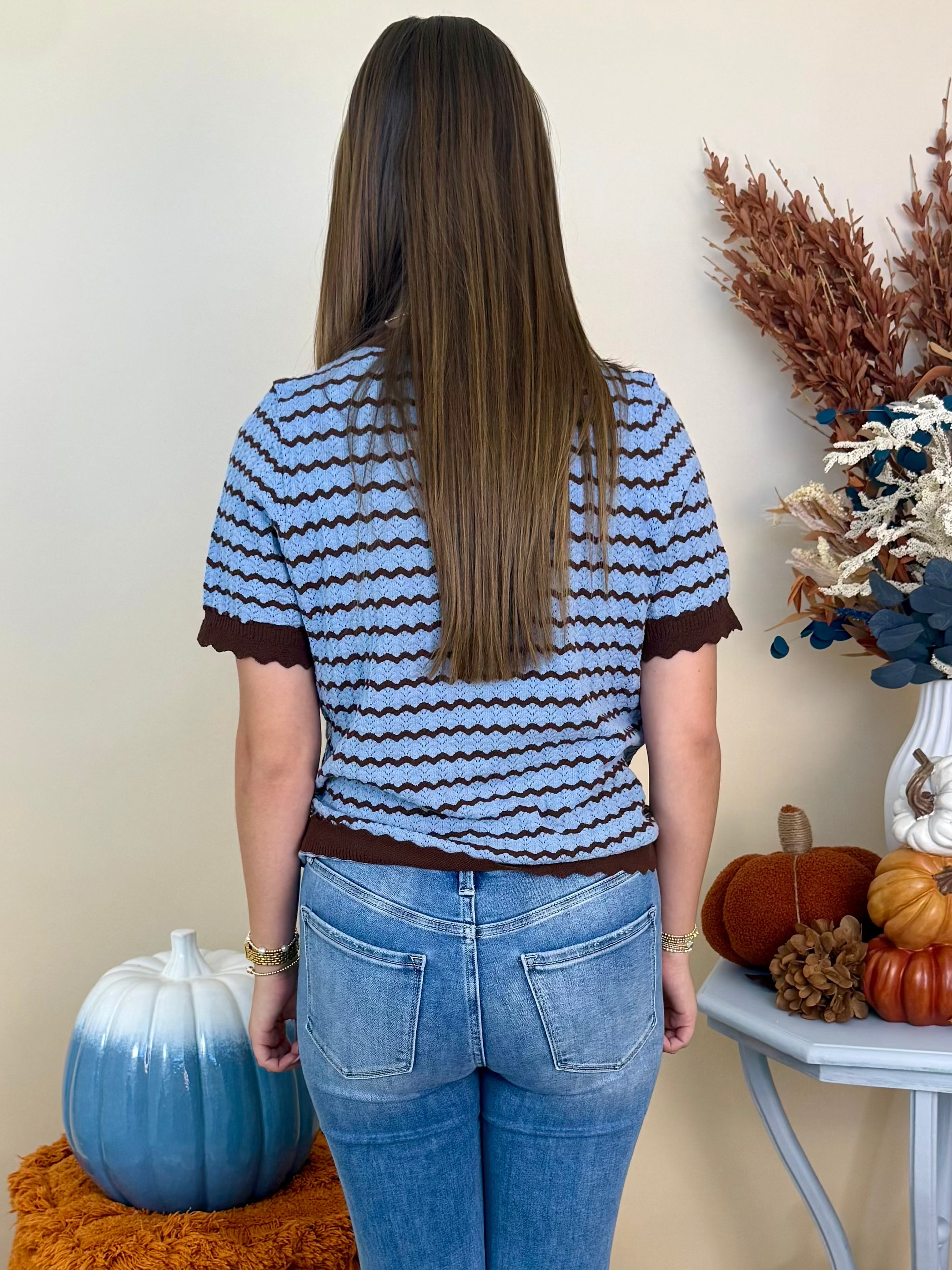 Crisp and Cute Brown/Blue Zig-Zag Short Sleeve Sweater-Shop-Womens-Boutique-Clothing