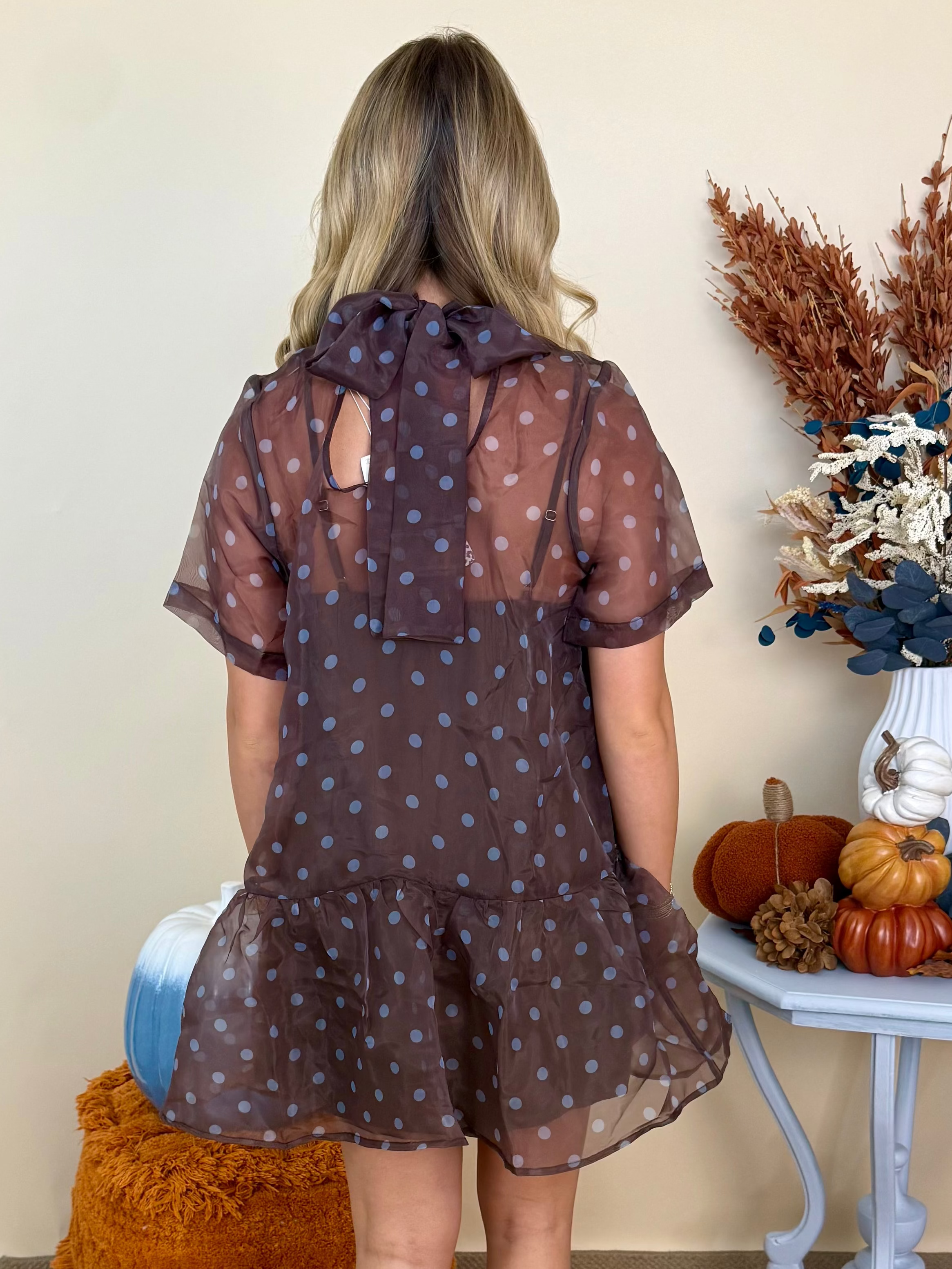 In My Dreams Brown Polka Dot High Neck Overlay Dress-Shop-Womens-Boutique-Clothing