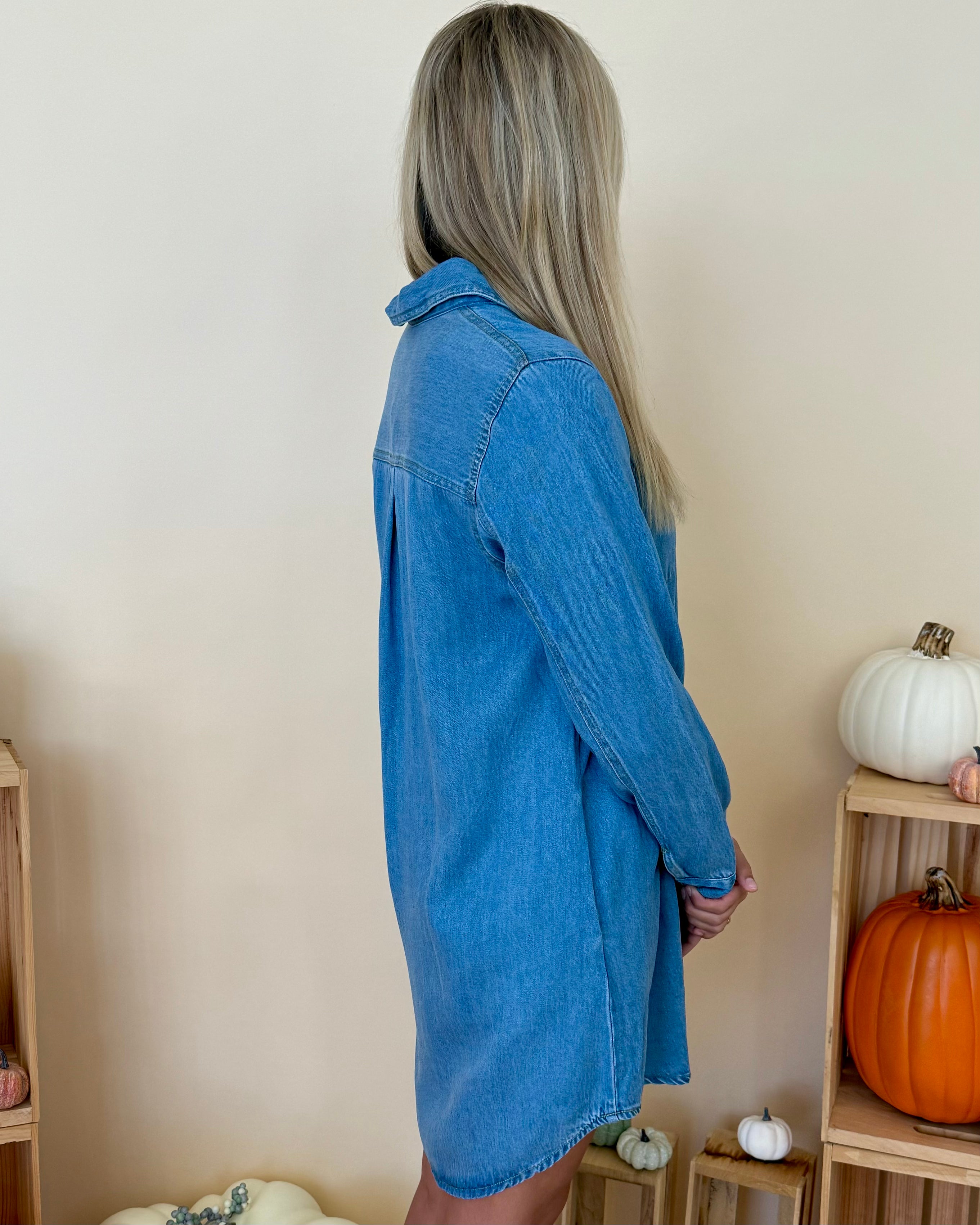 Live For Us Chambray Denim Dress-Shop-Womens-Boutique-Clothing