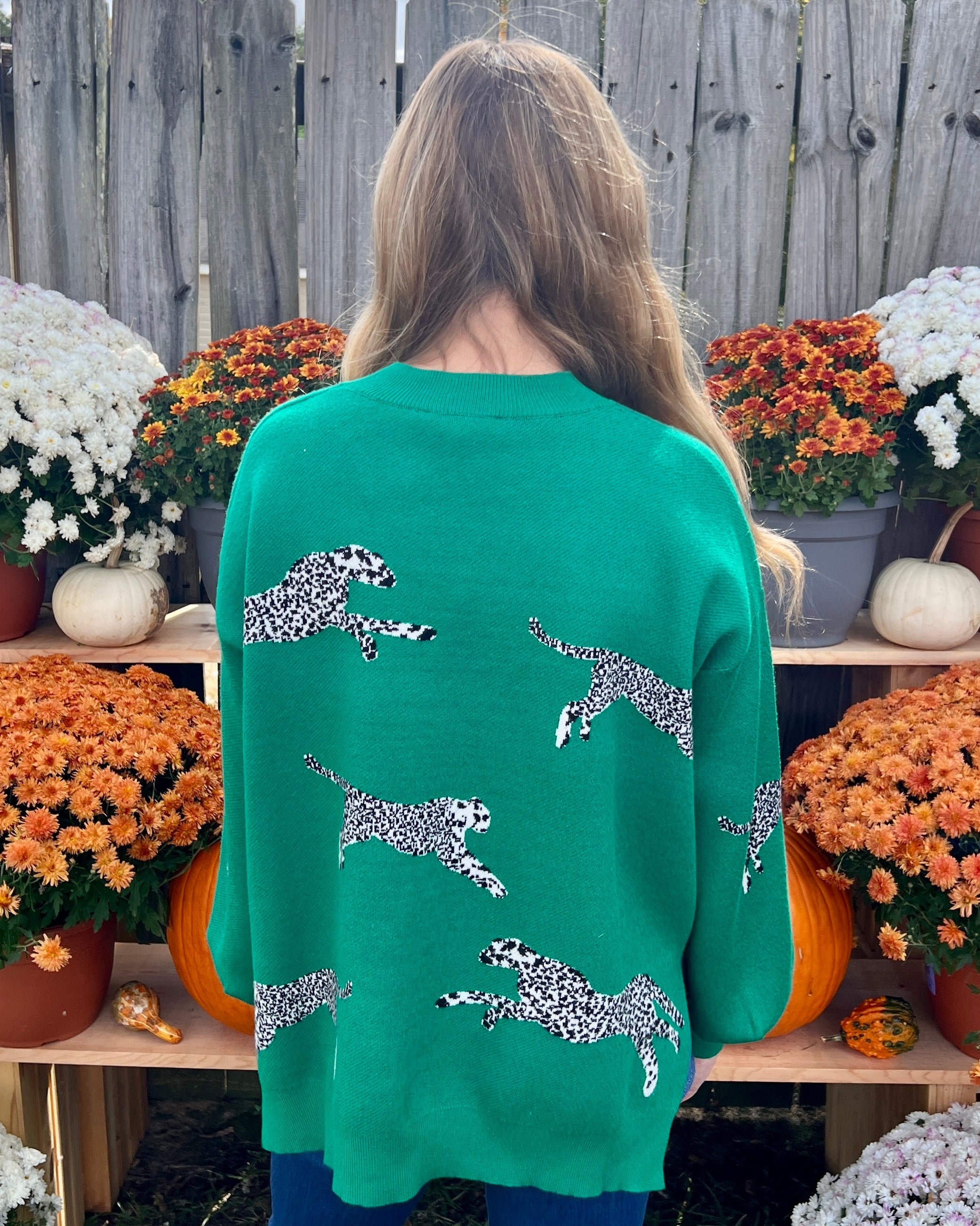 All The Hits Jade Green Leopard Sweater-Shop-Womens-Boutique-Clothing