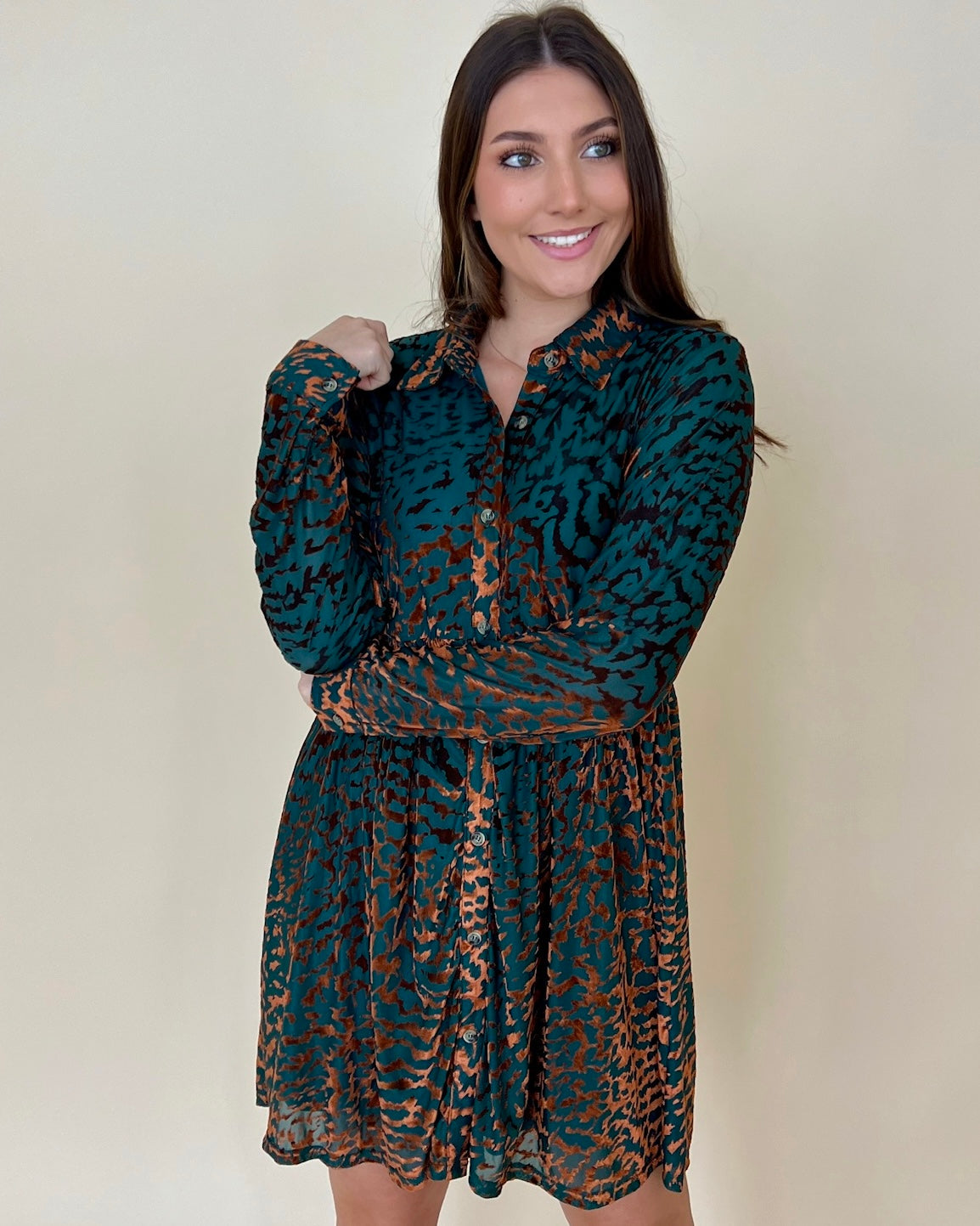 Fall For You Teal Animal Velvet Dress-Shop-Womens-Boutique-Clothing